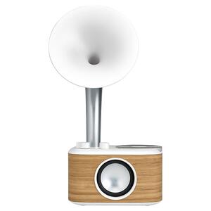 Sangean Euphonic 450 White (WR-45)