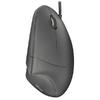 Ergonomic Mouse Trust Verto Black (22885)