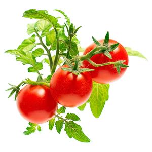 Click & Grow® 3-Pack Plant Pod (Mini Tomato)