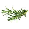 Click & Grow® 3-Pack Plant Pod (Rosemary)