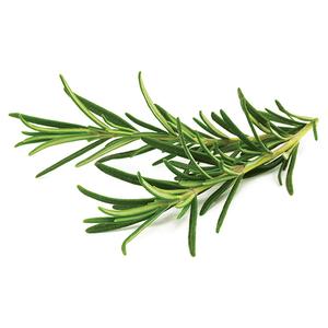 Click & Grow® 3-Pack Plant Pod (Rosemary)