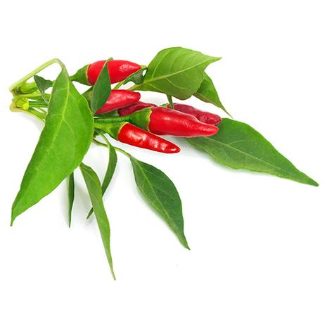 Click & Grow® 3-Pack Plant Pod (Piri Piri Chili Pepper)