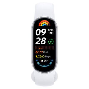 Xiaomi Mi Smart Band 9 Glacier Silver